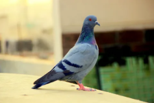 1757151287462.png
