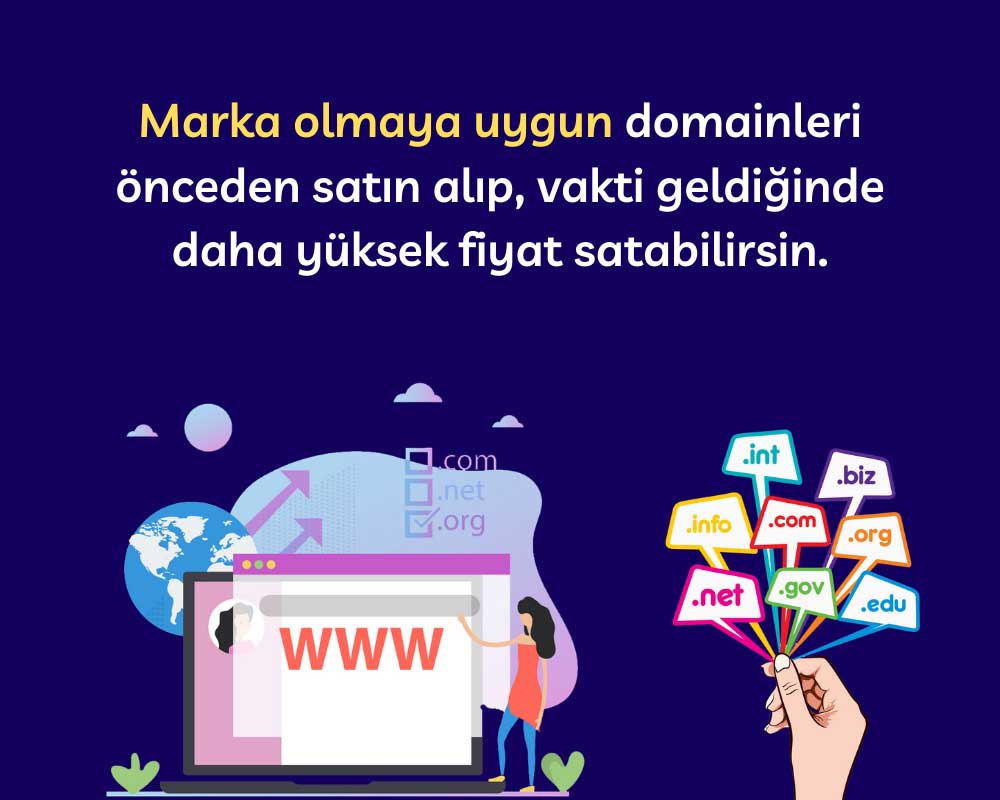 Domain Alıp Satmak