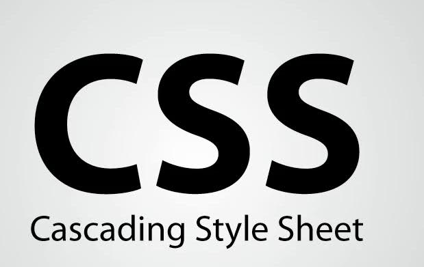 css nedir