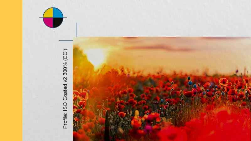 AquaSoft-SlideShow-Premium-11.8.04-1-2.jpg